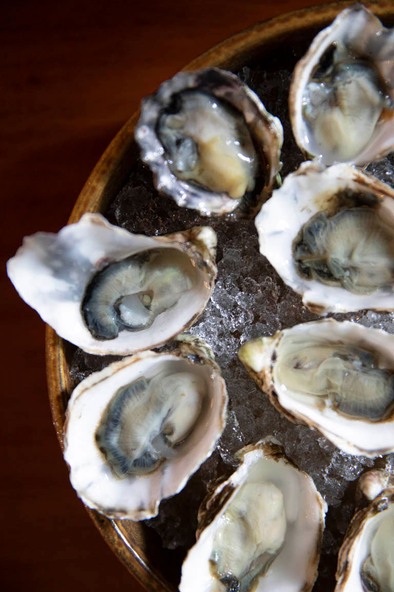 bicyclette-bistro-oysters